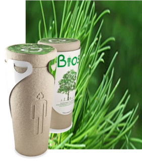 BIOS URNA Borovica Himalájska